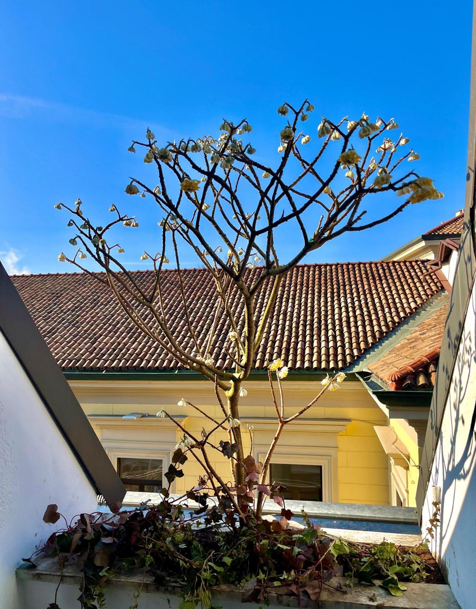 Luxury Loft Appartamento Milano